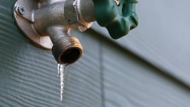Best Clogged Drain Plumber  in Millbrook, NY